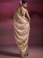 Dressfolk Chanderi Tissue Saree in Light Gold with Gold Border - Image 3