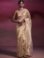 Dressfolk Chanderi Tissue Saree in Light Gold with Gold Border - Image 2